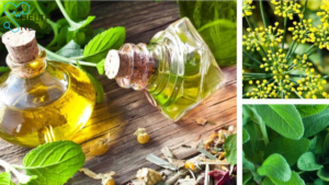 Natural Remedies for Anxiety