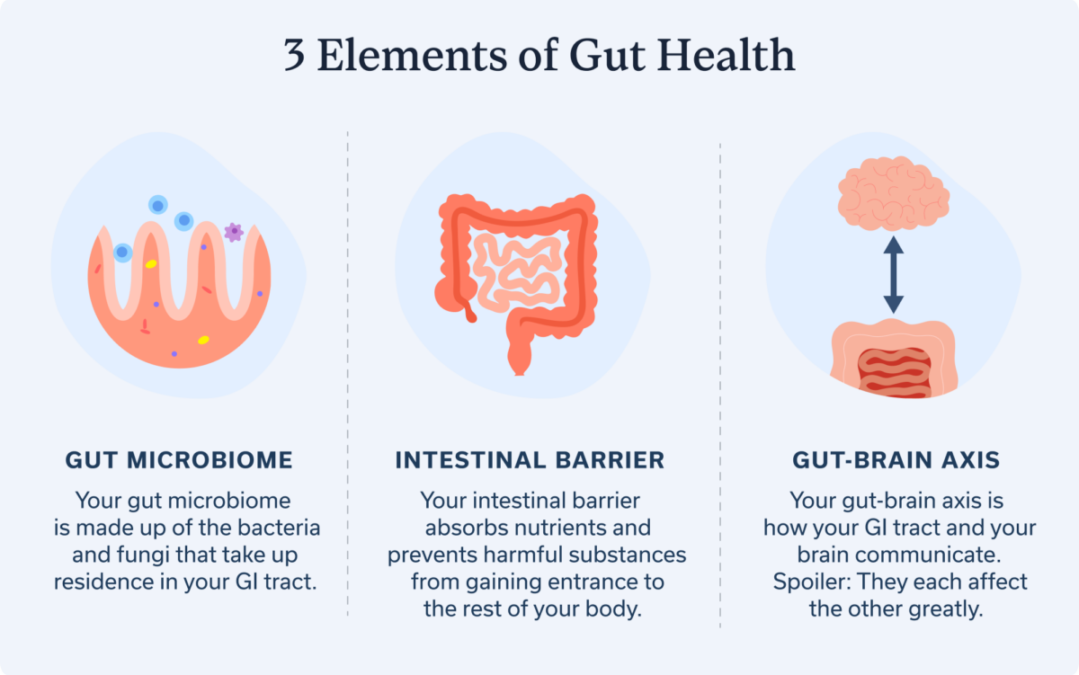 How to Heal Gut Naturally