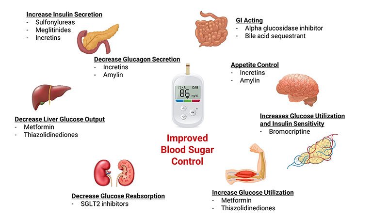 How to Control Glucose Levels
