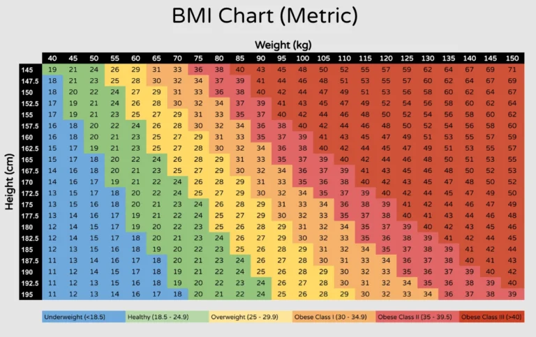 BMI Calculator Guide