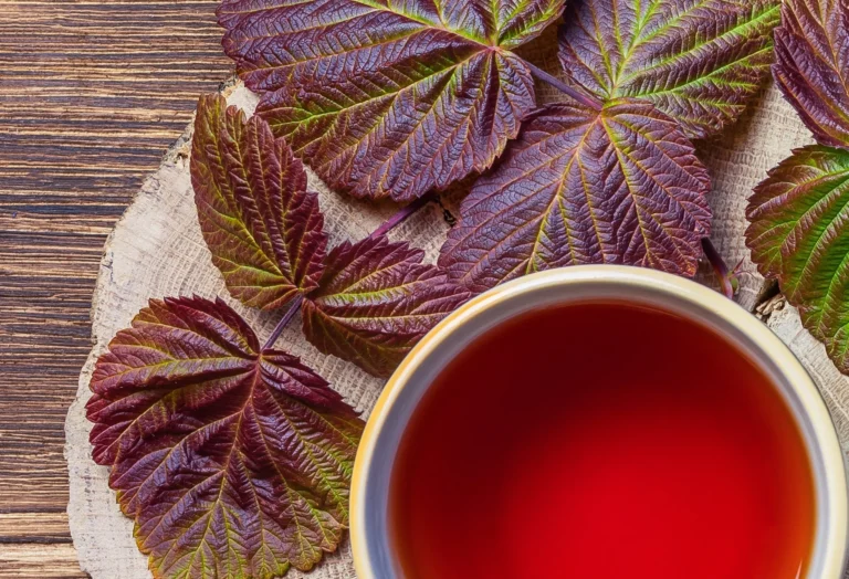 Raspberry Leaf Tea