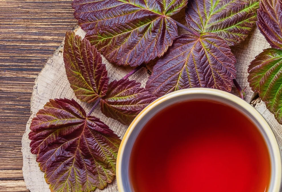 Raspberry Leaf Tea Raspberry Leaf Tea