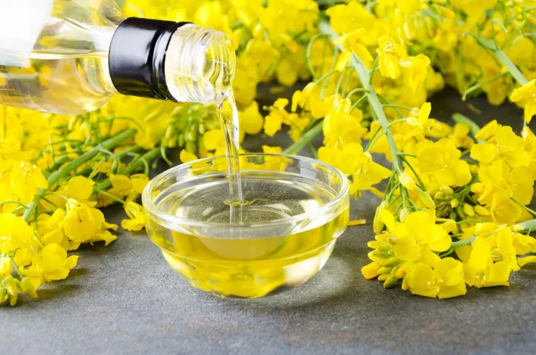 Is Rapeseed Oil Healthy