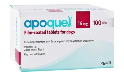 Apoquel for Dogs