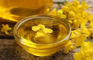 Mental Health Rapeseed Oil vs Olive Oil